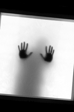 white_hands