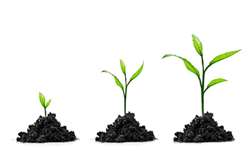 growing_plant