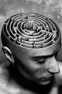 maze